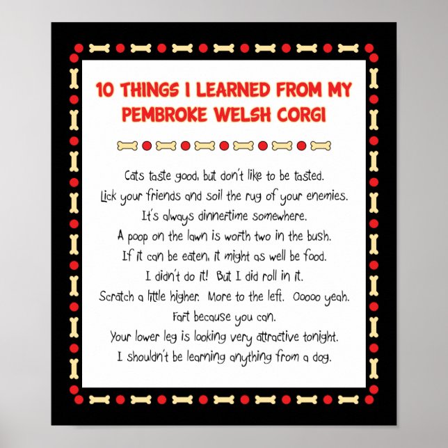 Poster Ce Que J'Ai Appris De Pembroke Welsh Corgi (Devant)