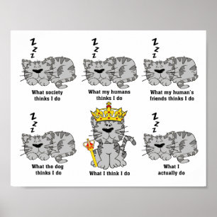 Poster Ce que le chat pense drôle