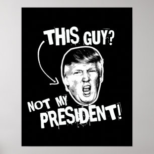 Poster Ce type n'est pas mon président -- Conception