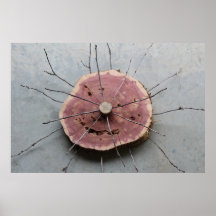 Cèdre rouge Sculpture naturelle éco-art centrée