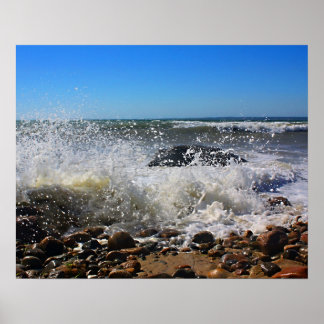 Poster CèdreArbreCou16x20