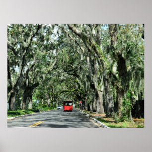 Poster Célèbre Magnolia Ave St Augustine, Floride