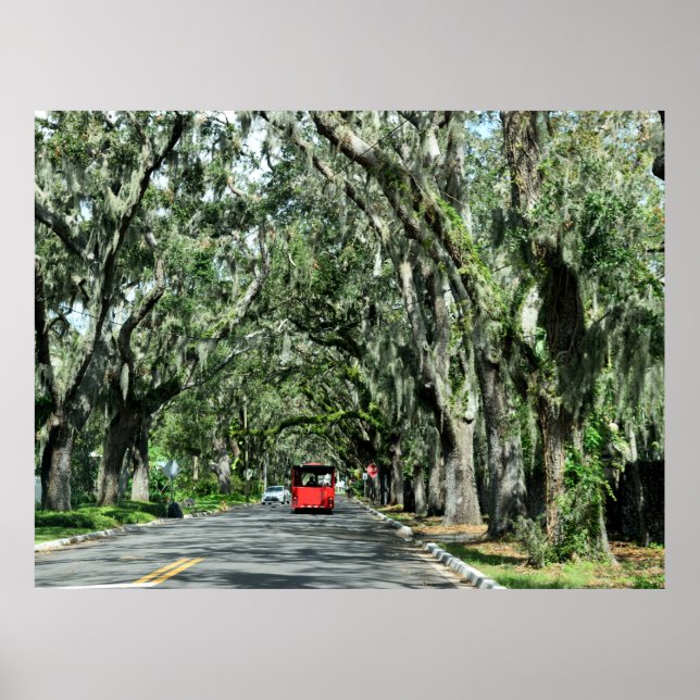 Poster Célèbre Magnolia Ave St Augustine, Floride (Devant)