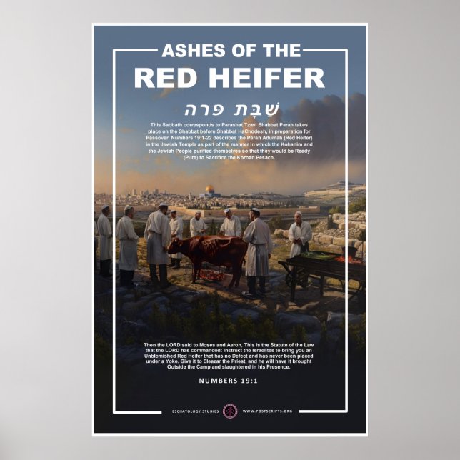 Poster Cendres de l'Heifer rouge (Devant)