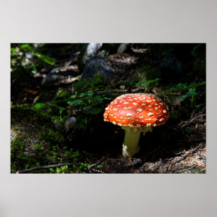 Poster Central Cascades, État de Washington