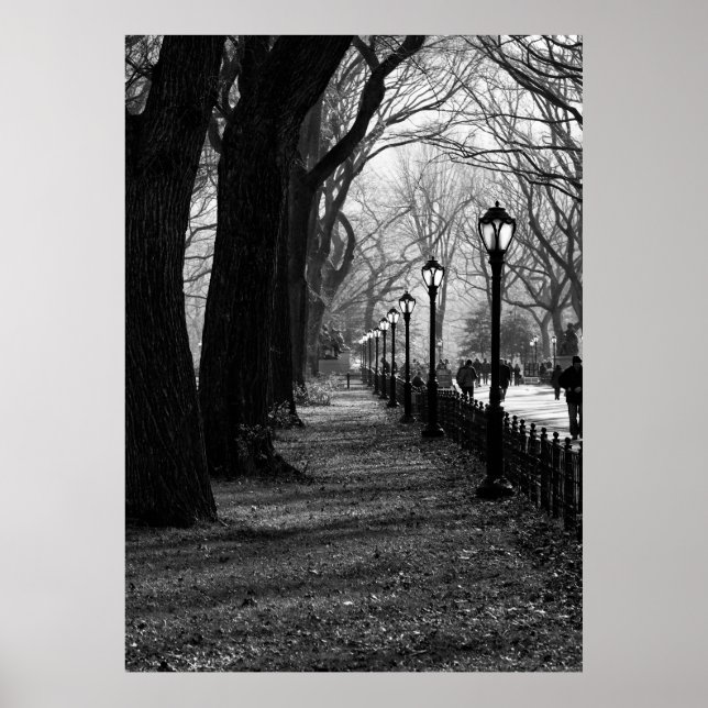 Poster Central Park, New York City (Devant)