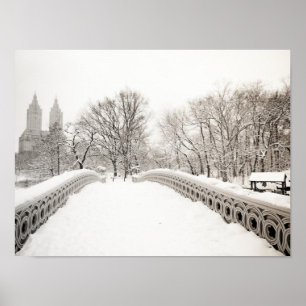 Poster Central Park Winter Romance - Pont Bow