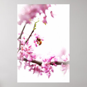 Poster Cercis et abeille à miel au printemps