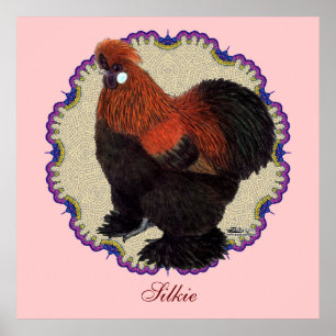 Poster Cercle Silkie