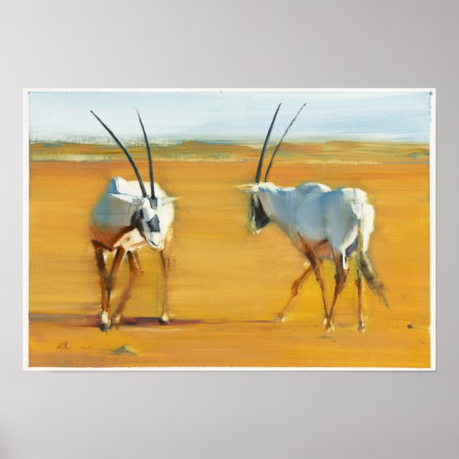 Poster Cercler Arabian Oryx 2010 (Devant)