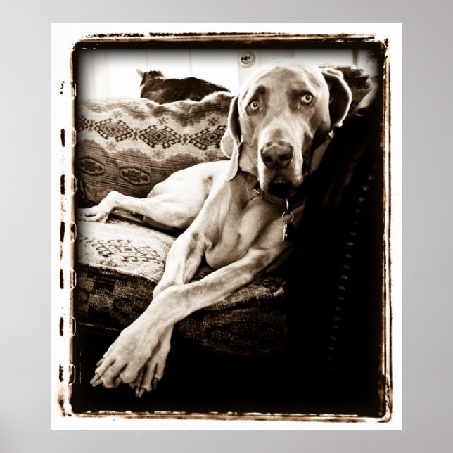 Poster Cerebellum atomique : Chaise de Ballou (Devant)