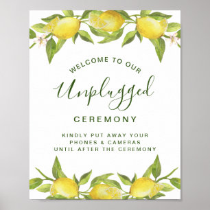 Poster Cérémonie de mariage sans appareil photo avec verd