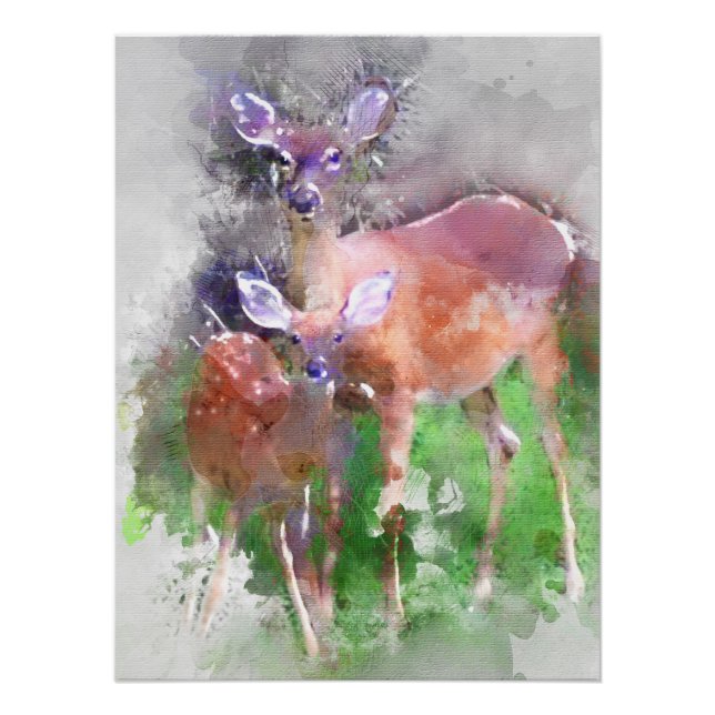 Poster Cerf à queue blanche en aquarelle (Devant)