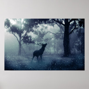 Poster Cerf avec Antlers dans une forêt ombragée