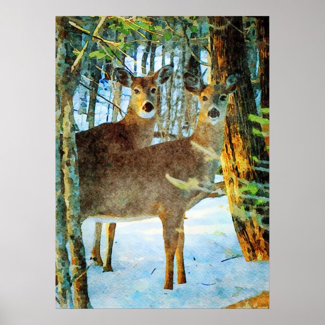 Poster Cerf blanc en hiver Aquarelle de la faune de neige (Devant)