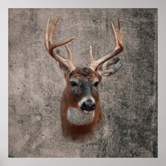 Poster Cerf Majestueux sur Fond Rustique (Devant)
