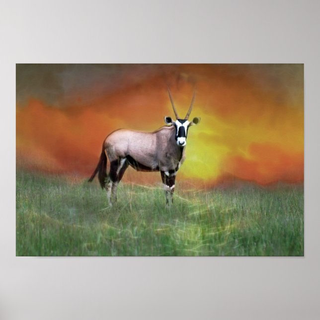 Poster Cerf sauvage au coucher du soleil (Devant)