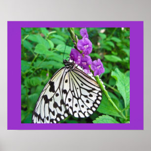 Poster Cerf-volant de papier sur la fleur pourpre