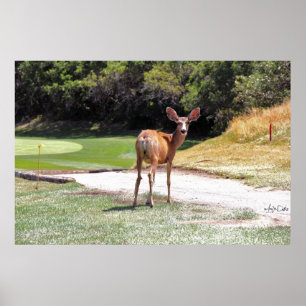 Poster cerf vous regarder photographie réimprimer grand