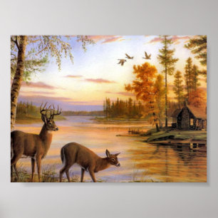 Poster Cerfs communs au lac