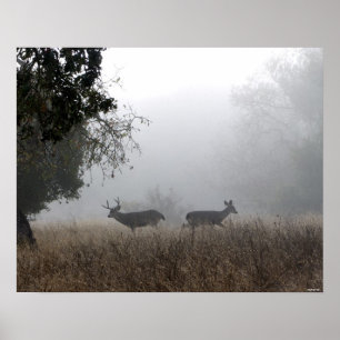 Poster Cerfs communs en brouillard