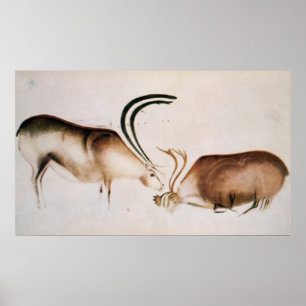 Poster Cerfs mâles et femelles