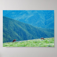 Cerfs près des montagnes