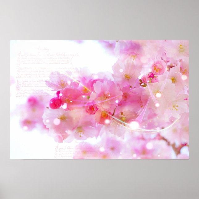 Poster Cerisier japonais aux fleurs rose pastel (Devant)
