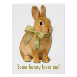 Poster Certains lapins m'aiment !
