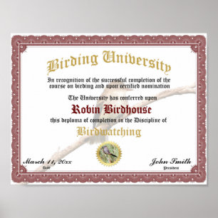 Poster Certificat d'obtention d'un diplôme d'études d'ois