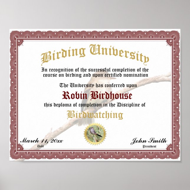 Poster Certificat d'obtention d'un diplôme d'études d'ois (Devant)