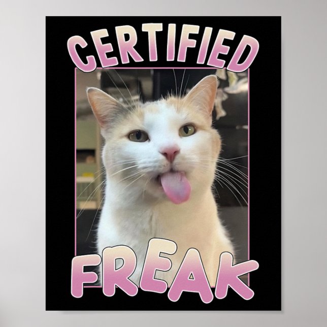 Poster Certifié Freak Cute Chat Amateurs de mème Animaux  (Devant)