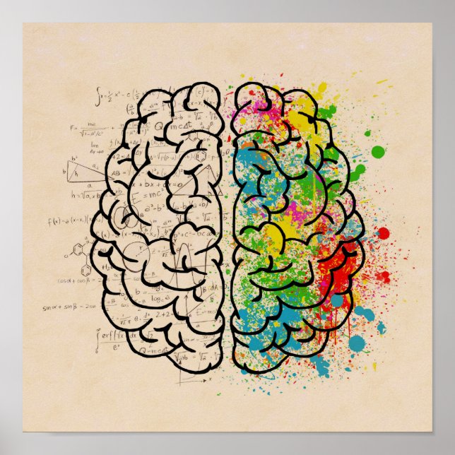 Poster Cerveau Humain Gauche Et Droite (Devant)