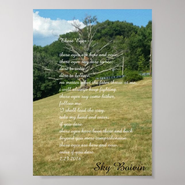 Poster Ces yeux (Devant)