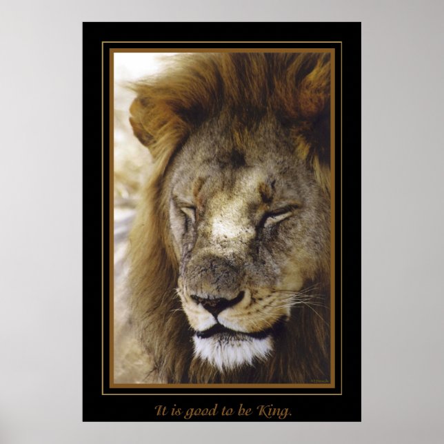 Poster "C'est bon d'être roi." (Devant)