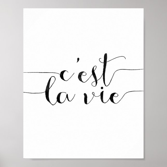 Poster C'est La Vie (Devant)