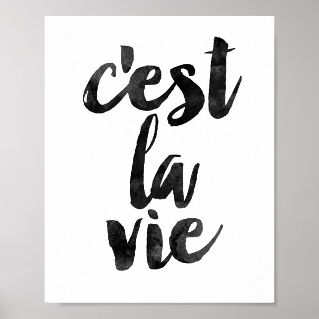 Poster C'est La Vie (Devant)