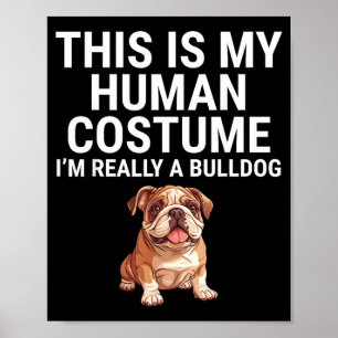 Poster C'est un costume humain Un chien bouledogue Hallow