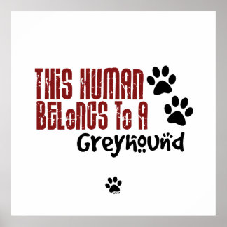 Poster Cet être humain appartient à un Greyhound