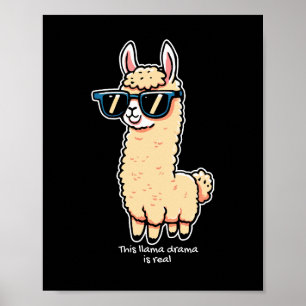 Poster Cette Llama Drama est vraiment une pose bizarre da