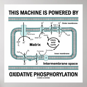 Poster Cette Machine Alimentée Par La Phosphylation Oxida