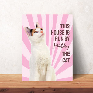 Poster Cette maison est dirigée par l'affiche de chat per
