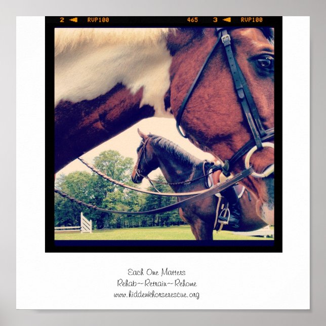 Poster Chacun compte (Devant)