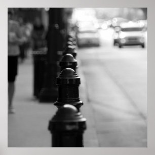 Poster Chaîne de circulation latérale