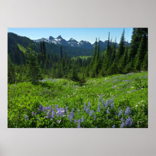 Poster Chaîne des Cascades depuis le parc national du mon
