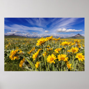 Poster Chaîne Rocky Mountain Front