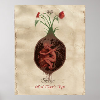 POSTER CHAKRA FAE - BASE
