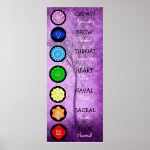 Poster Chakras centre l'énergie de Chi de diagramme