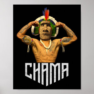 Poster Chama Paotan Mixed martial art Fan Jjb Boxe Muay T