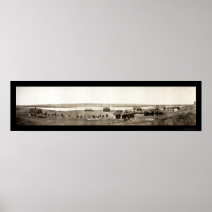 Poster Chamberlain Photo indienne SD 1907
